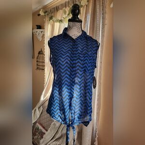 Wishful Park Chevron Pattern Top in Blue and Black